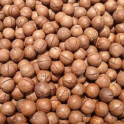 Noix de macadamia coupées