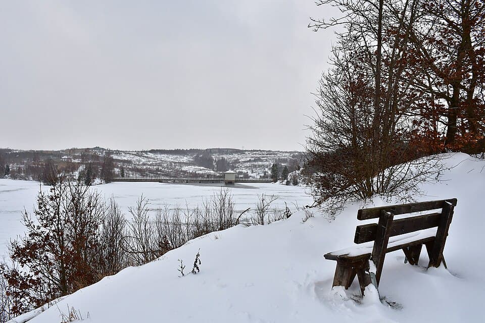 paysage hivernal avec arbres