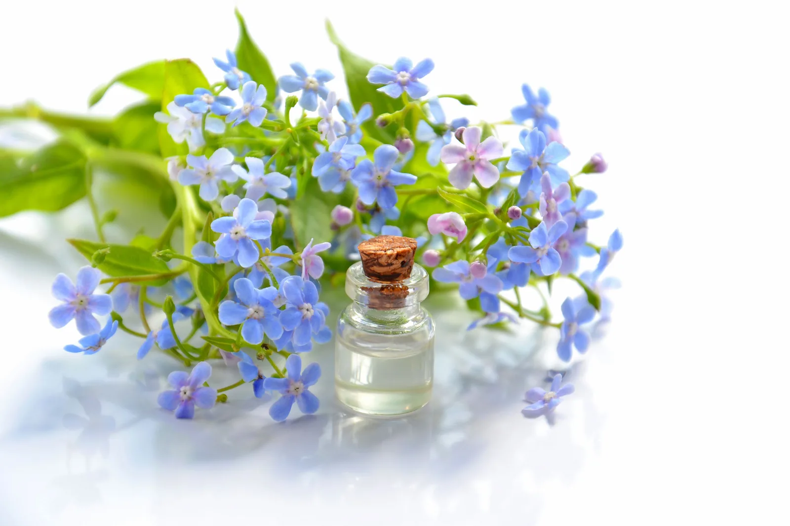 Flacon entouré de fleurs bleues, illustrant la douceur de l'eau florale