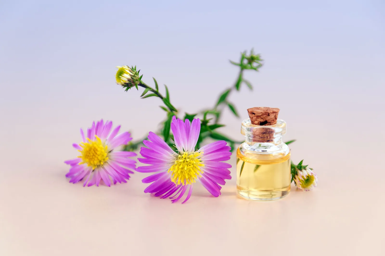Flacon d'huile essentielle pour un usage familial