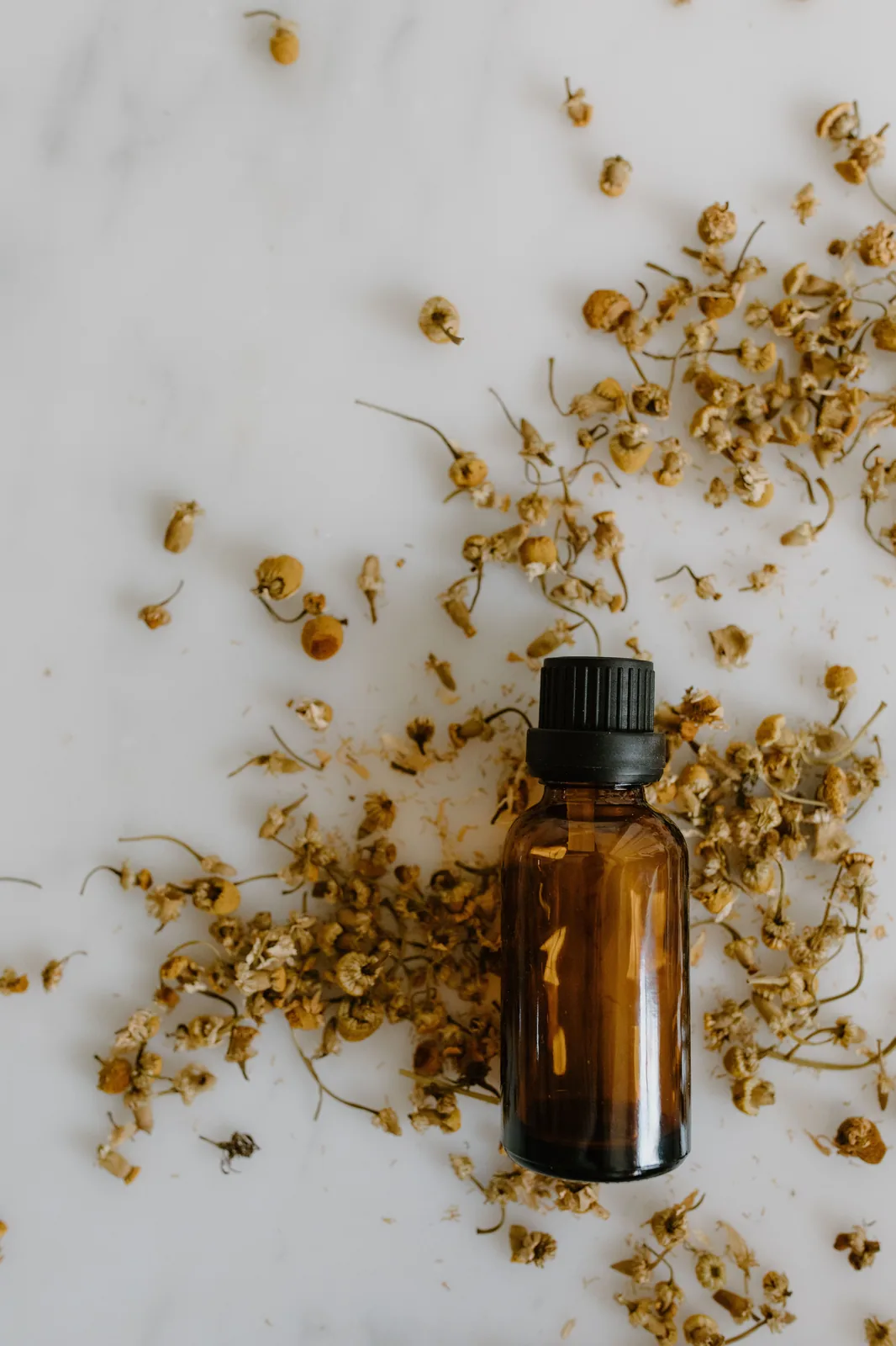 Flacon d'huile essentielle et fleurs de camomille séchées