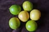 Citrus aurantifolia
