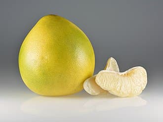 Citrus paradisi