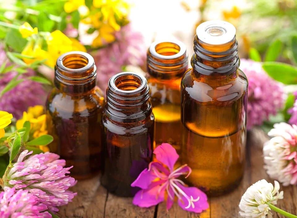 Collection de flacons d'huiles essentielles et plantes aromatiques