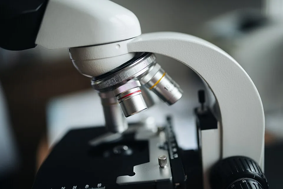 Objectifs de microscope en laboratoire - outil de la recherche en phytochimie