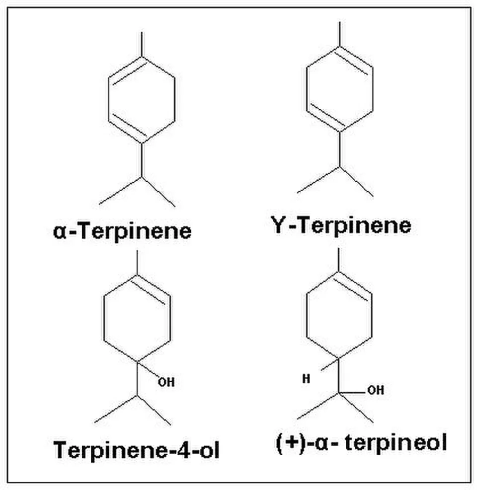 Structures moléculaires des composants d'une huile essentielle de marjolaine