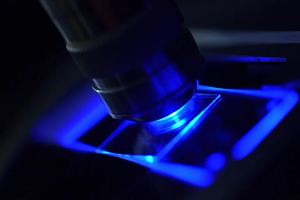 Observation en microscopie à fluorescence d'un échantillon biologique en laboratoire