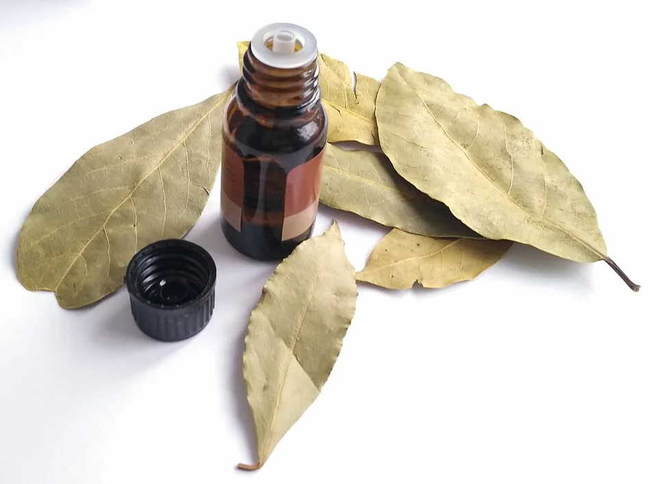 Flacon d'huile essentielle et feuilles séchées - vocabulaire et concepts de l'aromathérapie scientifique