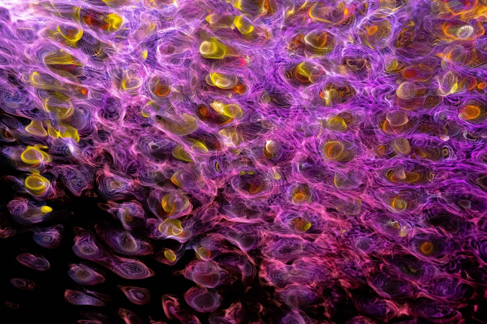 Texture abstraite de couleurs vibrantes évoquant l'énergie et le mouvement