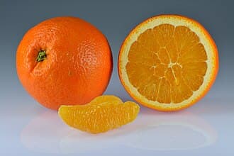 Citrus sinensis