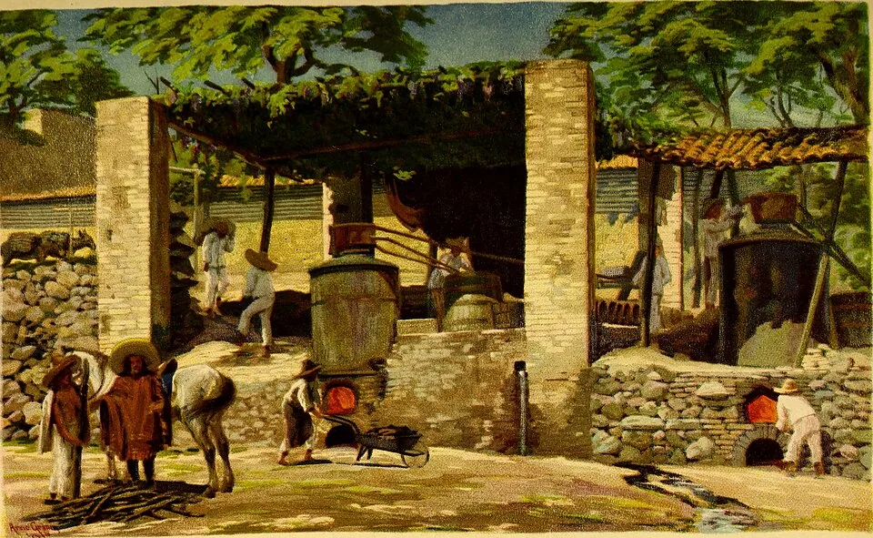 Illustration ancienne d'une distillerie artisanale d'huiles essentielles en plein air