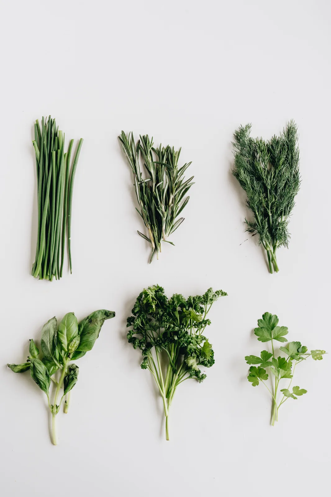 Bouquets d'herbes aromatiques fraîches disposés sur un fond clair