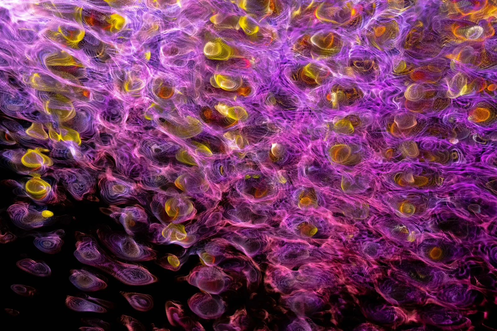 Texture abstraite de couleurs vibrantes évoquant l'énergie et le mouvement